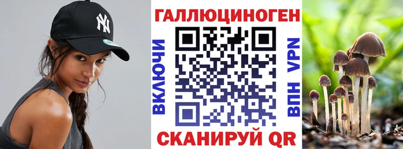 mega ТОР  Боровичи  Псилоцибиновые грибы Psilocybe  купить  сайты 