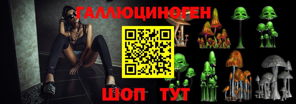 Боровичи  Псилоцибиновые грибы Magic Shrooms  Вход с VPN 