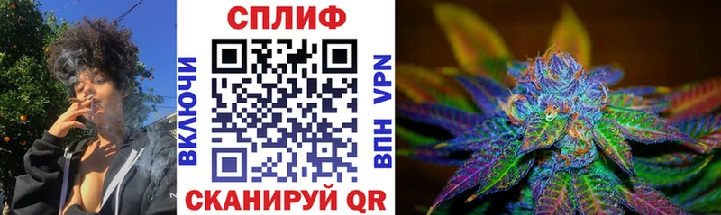 Каннабис гибрид  Боровичи 